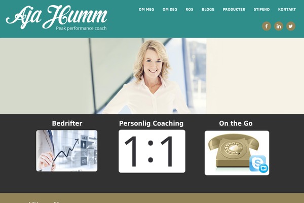 Site using Headway-excerptsplus plugin