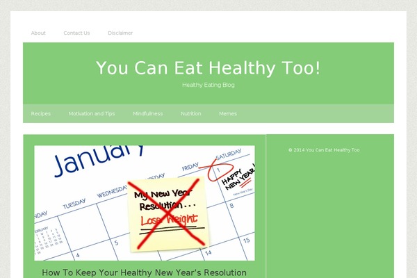 Lifestyle Pro theme site design template sample