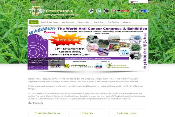 Corbiz theme site design template sample