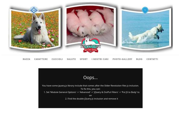 Site using Responsive Lightbox plugin