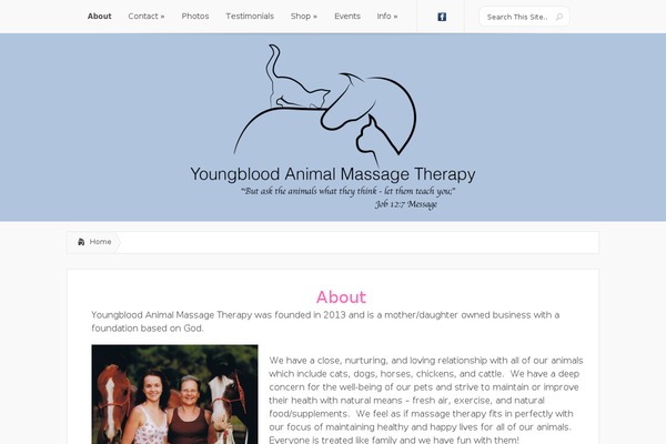 Lucid theme site design template sample