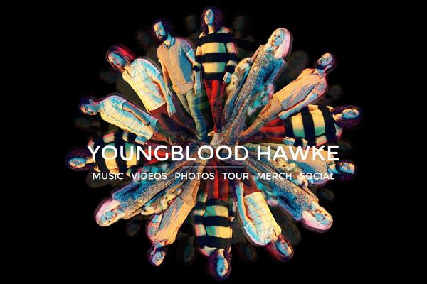 youngbloodhawke.com site used Youngblood