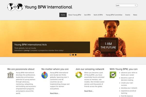 youngbpw-international.org site used Panoramica