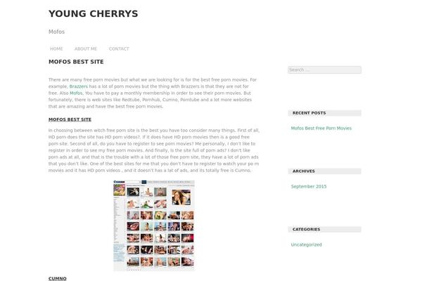 Araiz theme site design template sample