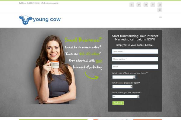 Site using Twitter_ultimate plugin