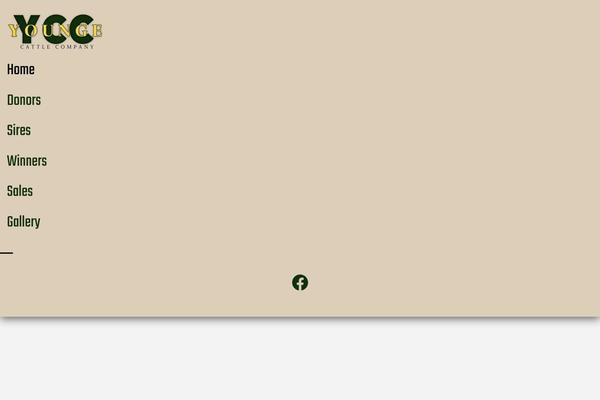 Pro theme site design template sample