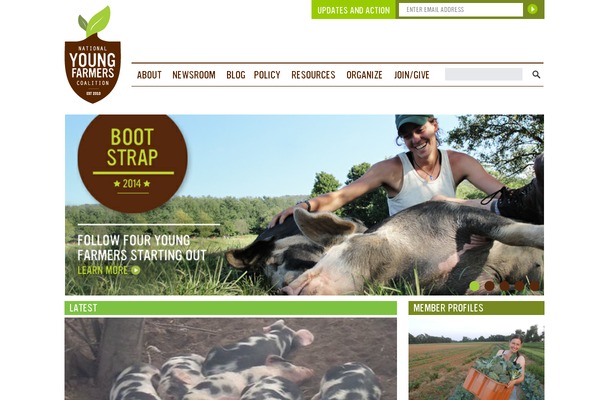 Site using Jet-smart-filters plugin