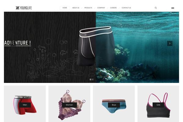 firezy website example screenshot