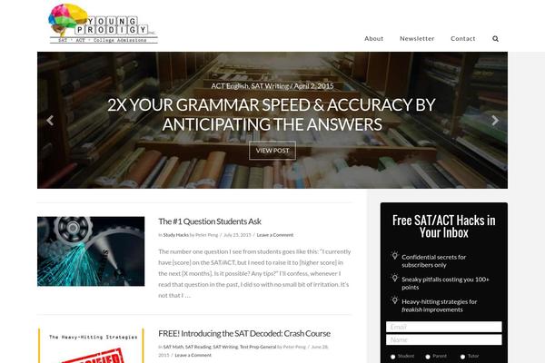 Site using Async Social Sharing plugin
