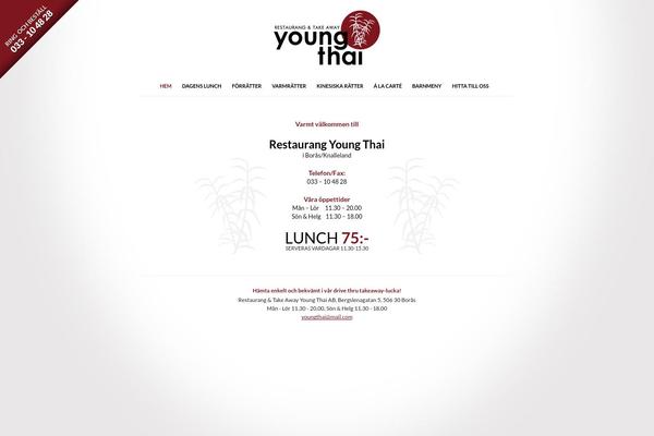 youngthai.se site used Cms-multi