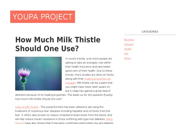 Metro Pro theme site design template sample