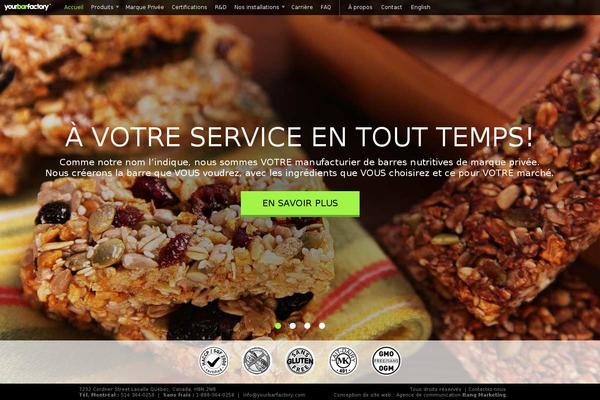 Understrap-child-master theme site design template sample