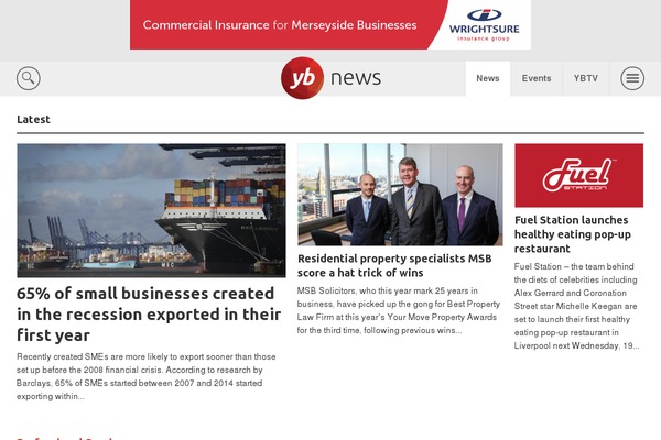 yourbusinessezine.com site used Ybnews