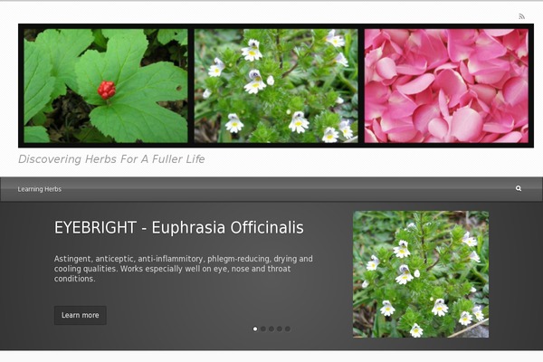 evolve theme site design template sample