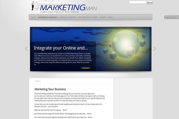 TheProfessional theme site design template sample