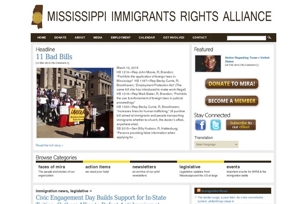 Mira theme site design template sample