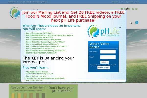 yourphlife.com site used Twotall