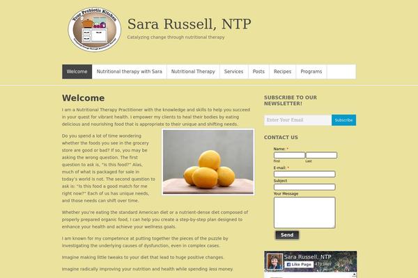 Simple Catch theme site design template sample