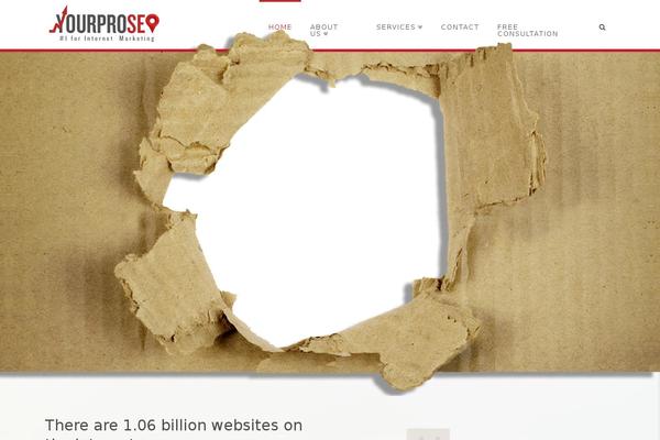 Site using Metro-style-social-widget plugin