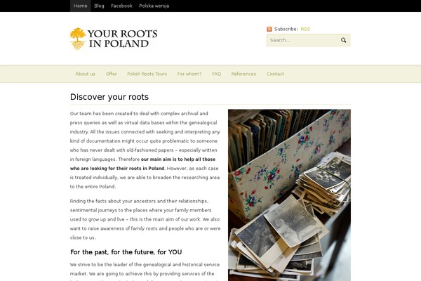 Currents theme site design template sample