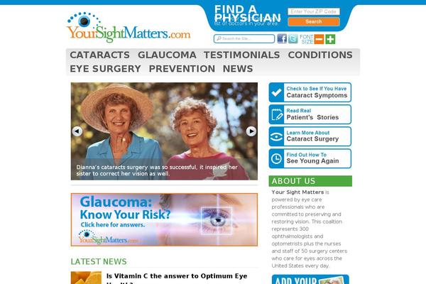 ysm theme websites examples