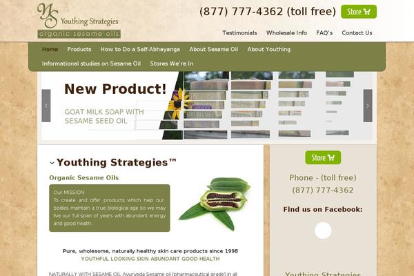 Deluxe theme site design template sample