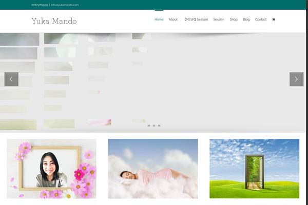 Site using Fusion-builder plugin