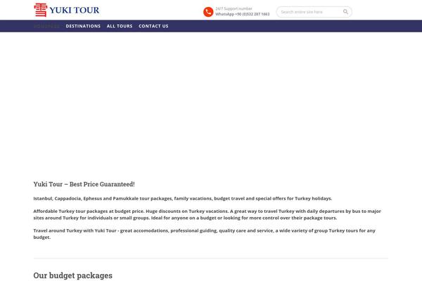 Site using To-top plugin