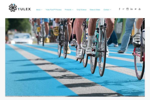 Ace theme site design template sample