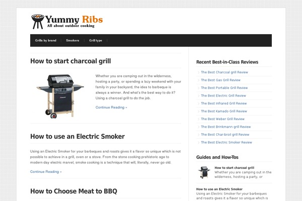 Wp-radiance101 theme site design template sample