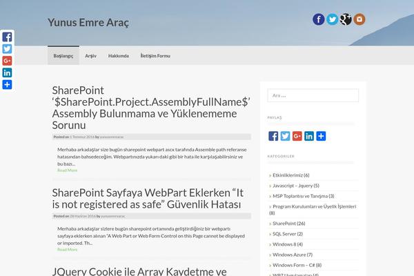 Coller theme site design template sample