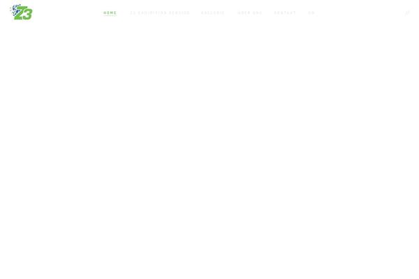 Alma-child theme site design template sample