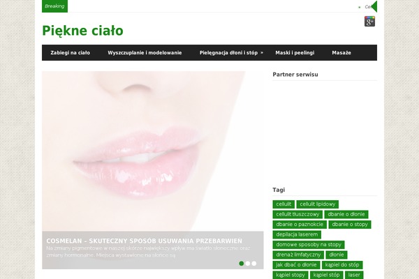 Report theme site design template sample