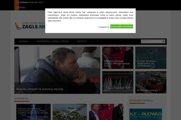 ProfitMag theme site design template sample