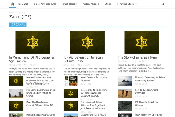 Magazine Pro theme site design template sample