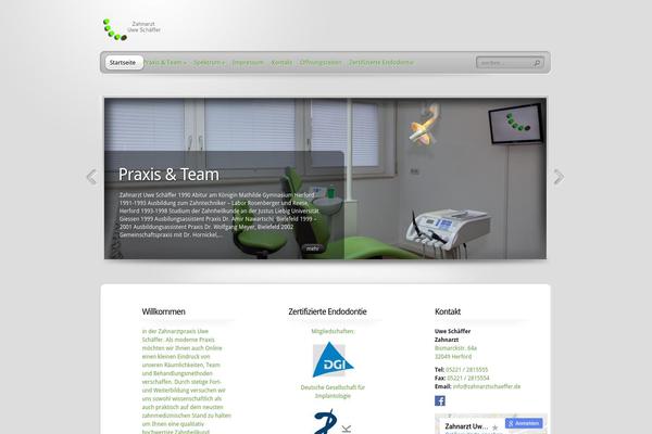 TheProfessional theme site design template sample