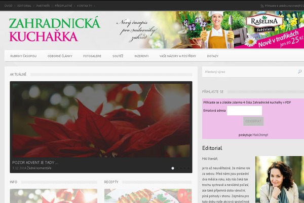 Widezine theme site design template sample