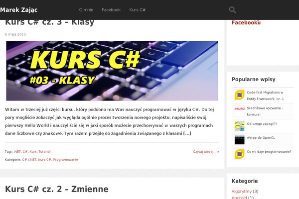 Bizix theme site design template sample