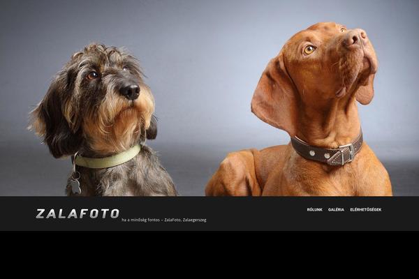 Site using Debloat plugin