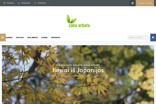 SimpleGreat theme site design template sample