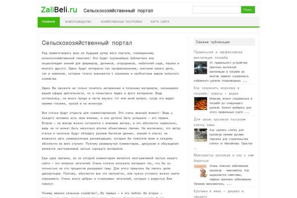 Iconic One theme site design template sample
