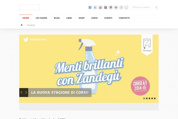 Site using Mc4wp-premium plugin