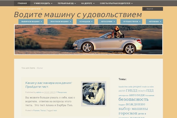 My Life theme site design template sample