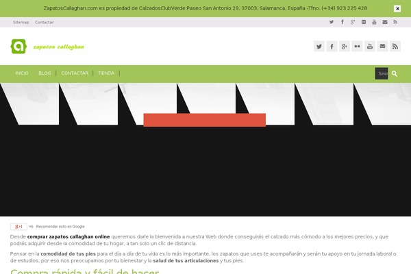 Alterna theme site design template sample