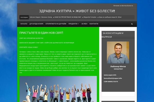 Theme Rush theme site design template sample
