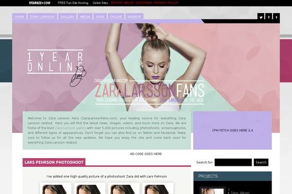 Zara theme site design template sample