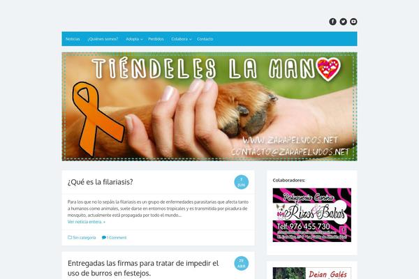 The Box theme site design template sample