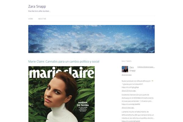 Site using WP Subscriber Form plugin