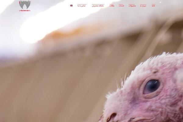 Site using Advanced-posts-widget plugin