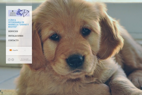 Flashlight theme site design template sample